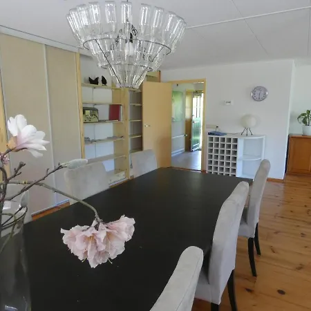 Familiehuis Achter De Duijnhoeve Vakantiehuis