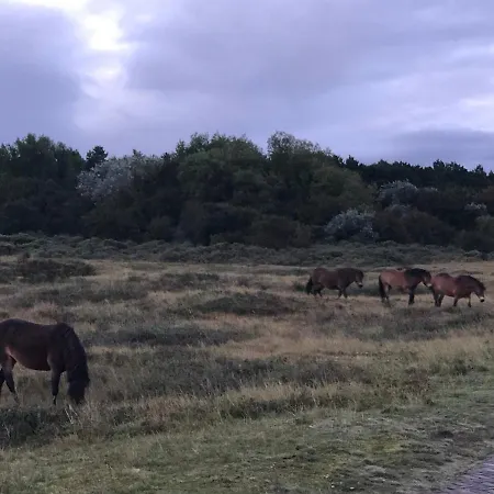 Familiehuis Achter De Duijnhoeve Vakantiehuis