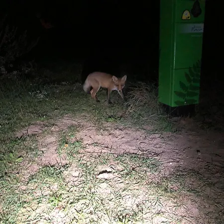 Dom wakacyjny Familiehuis Achter De Duijnhoeve *