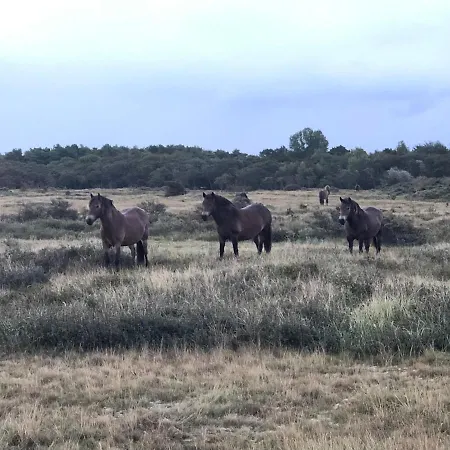 Familiehuis Achter De Duijnhoeve * Zuidbakkum